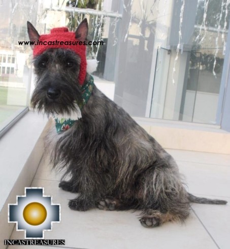 Alpaca Hat for dogs - Scottish Elf