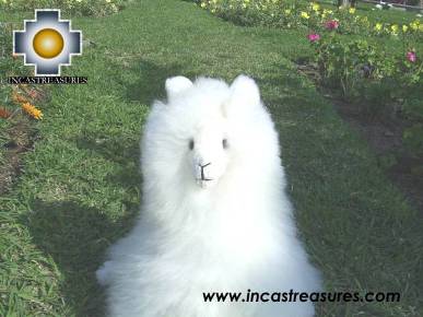 100% Baby Alpaca, Big Alpaca Seated  "LANA"